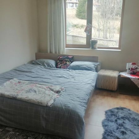 Apartment Dream Пампорово Экстерьер фото